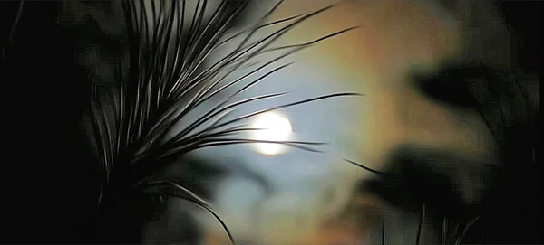 grunge desenli güzel soyut arkaplan