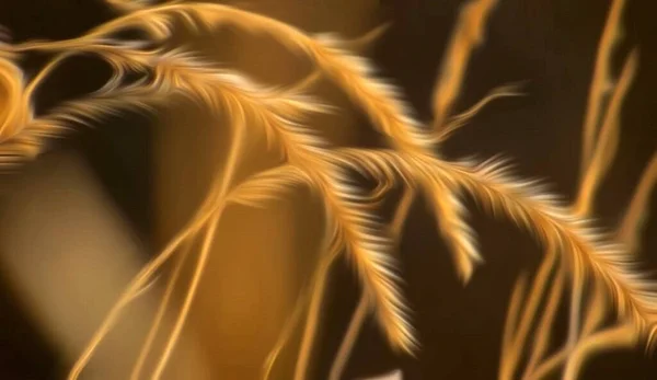 Soyut renk dokusuyla güzel sanatsal sıçramalar. Modern fütürist model. dinamik arkaplan