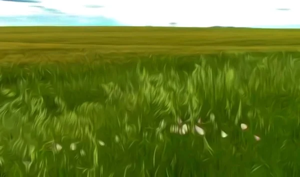 Tarlada yeşil çimenler, arkadan manzara, kırsal doğa.