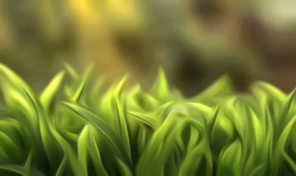 güzel yeşil arka plan doku