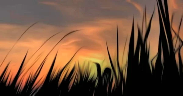 Fundo Abstrato Com Céu Bonito — Fotografia de Stock