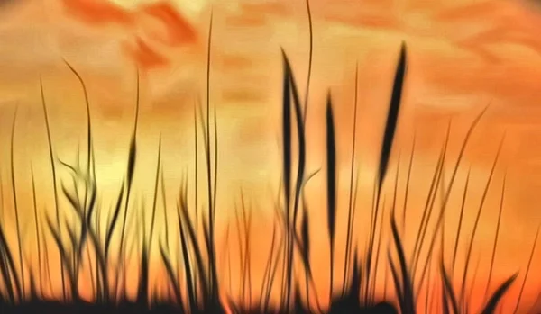 Palmiye yapraklı soyut arkaplan