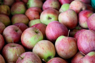 İsviçre, Langenthal 'da bir çiftçi pazarında elmalar indirimde.