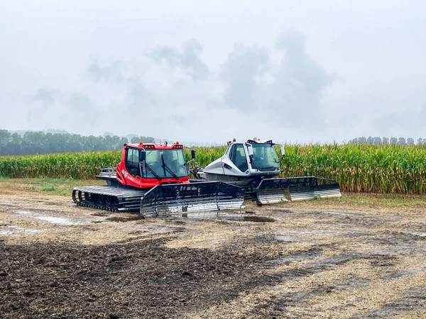 Çayırdaki molada kabadayıyı cezalandır