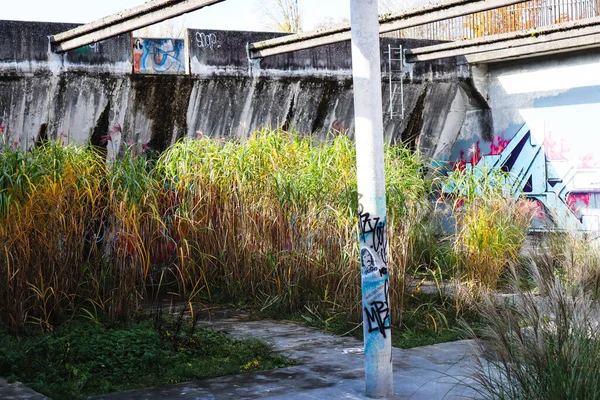 Graffitis ve Bitkilerle Kayıp Yer