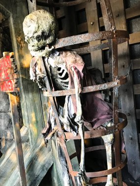 Skeleton hangs in metal rods