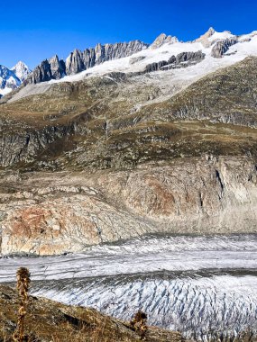 Aletsch Buzulu ve Arkaplan 'daki karlı dağlar, İsviçre