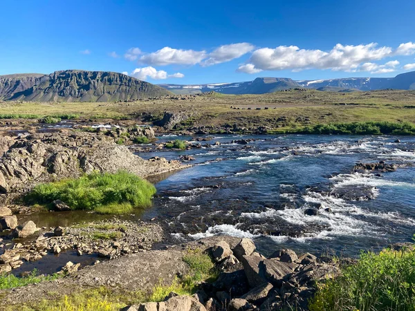 Ett typiskt Icland landskap med en flod — Stockfoto