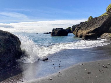 A Beach with dark Sand and Moss near Reynisfjara, Iceland