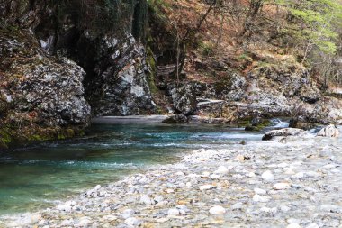 Maggia Nehri İsviçre 'deki Ticino' daki Maggia Vadisi 'nden akıyor.