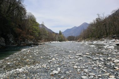 Maggia Nehri 'nin İsviçre' deki Ticino 'daki Maggia Vadisi' nden aktığı Taş Manzara