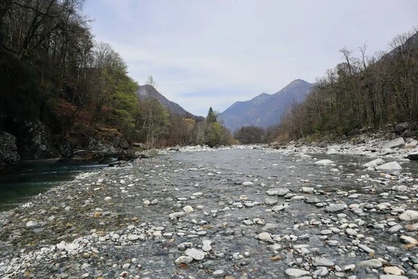 Maggia Nehri 'nin İsviçre' deki Ticino 'daki Maggia Vadisi' nden aktığı Taş Manzara