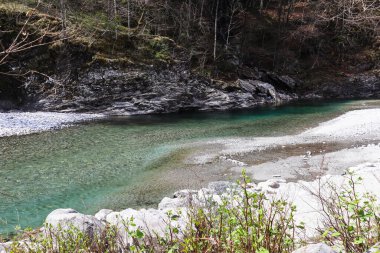 Kristal berrak Maggia Nehri İsviçre 'deki Ticino' daki Maggia Vadisi 'nden akıyor.