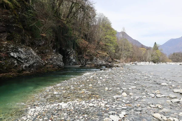 Maggia Nehri İsviçre 'deki Ticino' daki Maggia Vadisi 'nden akıyor.