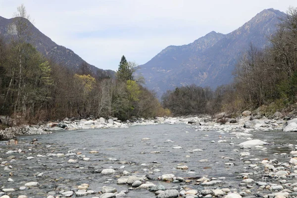 Maggia Nehri 'nin İsviçre' deki Ticino 'daki Maggia Vadisi' nden aktığı Taş Manzara