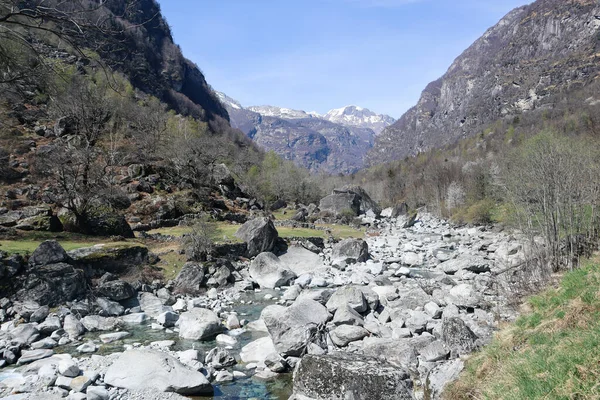 Vadi 'ye ve İsviçre' deki Ticino Vadisi 'nden akan Bavona Nehri' nin mavi sularındaki taşlara bakın.