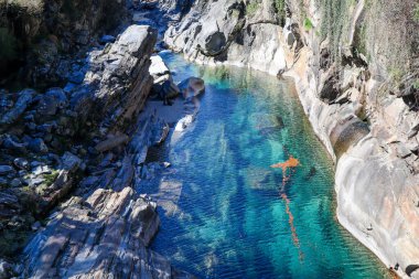 Turnuva, Lavertezzo, Ticino, İsviçre 'deki Verzasca Nehri' ni temizliyor.