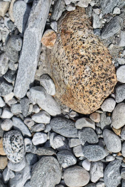 Some Stones Dry River Valley Maggia River Ticino Switzerland — Stock Photo, Image