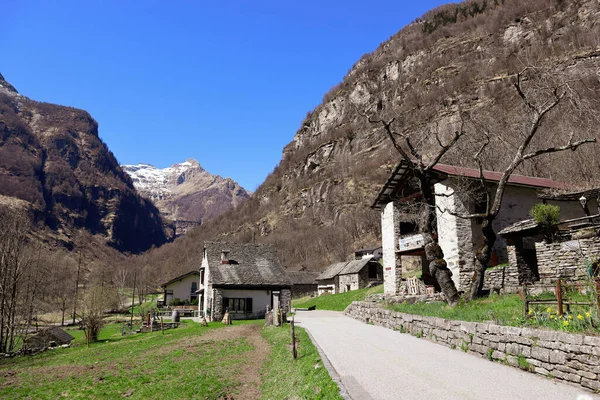 Sonogno Suisse Avril 2022 Village Historique Sonogno Avec Vieilles Maisons — Photo
