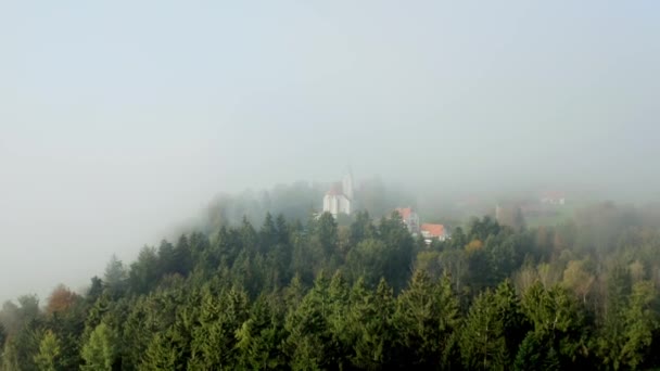 Tajemniczy Kościół Katolicki Ukryty Lesie Mgliste Chmury Jak Horror — Wideo stockowe