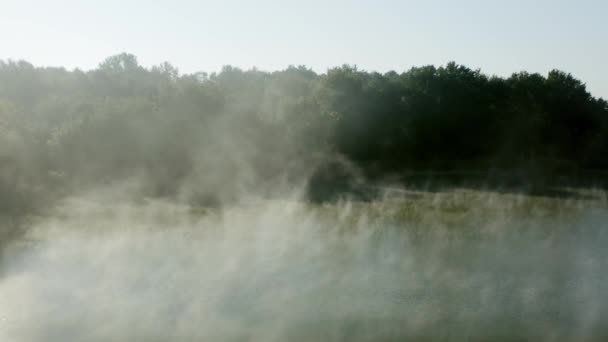 Misty Madrugada Invierno Lago — Vídeo de stock