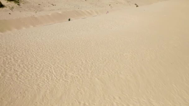 Infinite Sand Dune Valdevaqueros Flight Desert Road — Stockvideo
