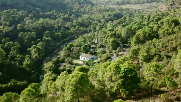 Havalimanı Konaklama Için Hazır Sıcak Ormanlarda Saklanmış Küçük Bir Turist — Stok video