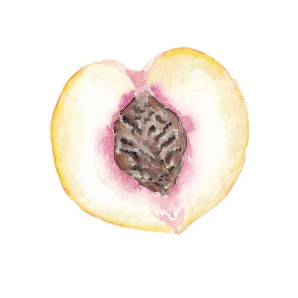Acuarela Frutas Jugosa Ilustración Aislada Sobre Fondo Blanco Elementos Dibujados — Foto de Stock