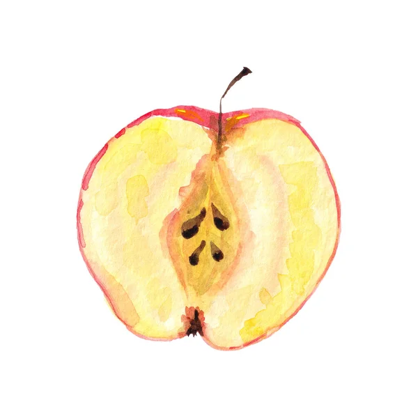 Red Apple Cut Half Profile View Yellow Flesh Seeds — Stockfoto