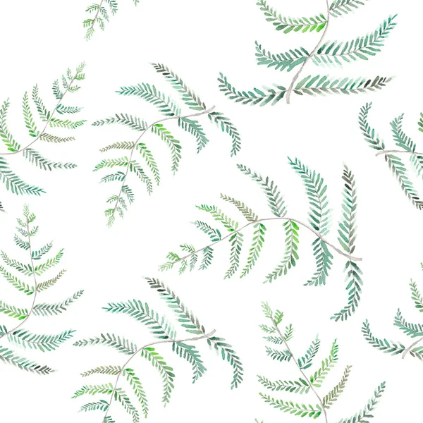 Kusursuz desen. Suluboya yeşil eğrelti otu dalı. Beyaz arka planda izole edilmiş bir resim. Botanik illüstrasyon. Yeşil bitki çiziyorum. Tasarım için tekstil, tasarım, baskı