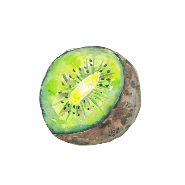 Die Hälfte Der Kiwi Frucht Isoliert Auf Weißem Hintergrund Bemalen — Stockfoto