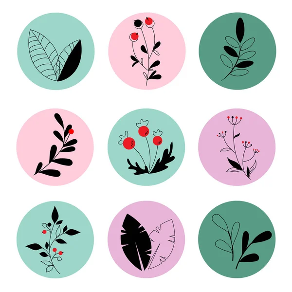 Logo Set Met Planten Bessen — Stockvector