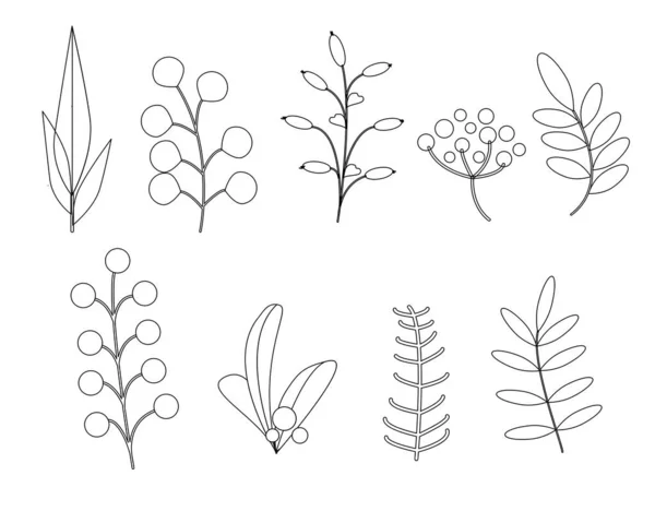 小枝线条艺术系列 — 图库矢量图片
