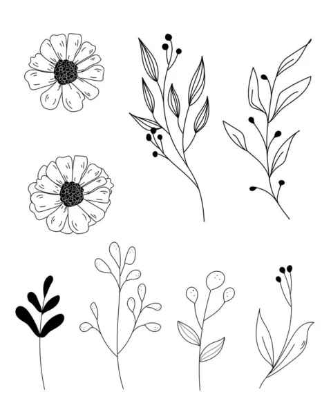 Set Met Lijnbloemen Bladeren — Stockvector