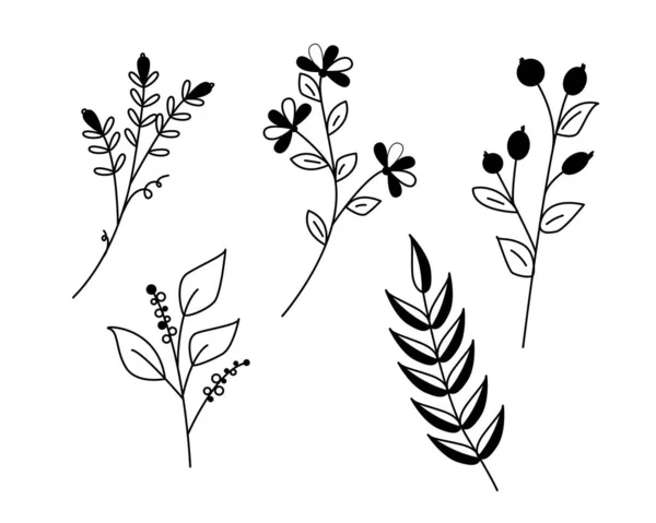 Hand Draw Flowers Twigs — Archivo Imágenes Vectoriales