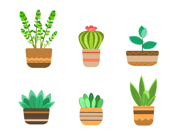 Set Home Plants Cacti — 图库矢量图片