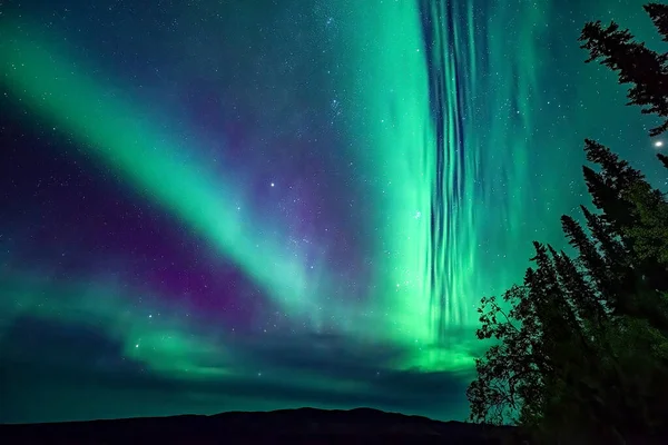 Aurora Bands Cover Sky Frances Lake Yukon — Stock Photo, Image