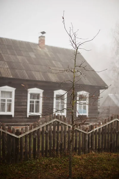 Kış için yapraklarını döken bir ağaç, yerleşik sis damlalarında, ahşap bir köy evinin biraz bulanık arka planında