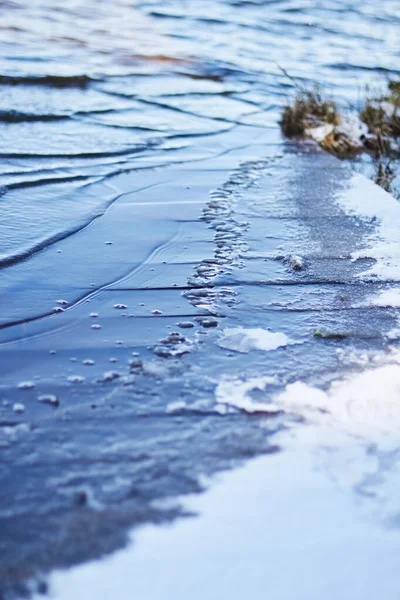 Nehre atılan ilk kasım buzu, akıntı tarafından kıyıya atıldı.