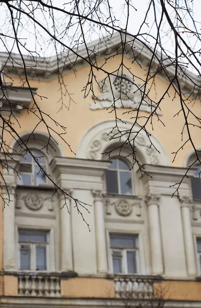 Yapraksız bir ağacın dalları, bulutlu bir kış gününde, parlak, anlamlı bir dış görünüşü olan eski bir binanın arka planına karşı.