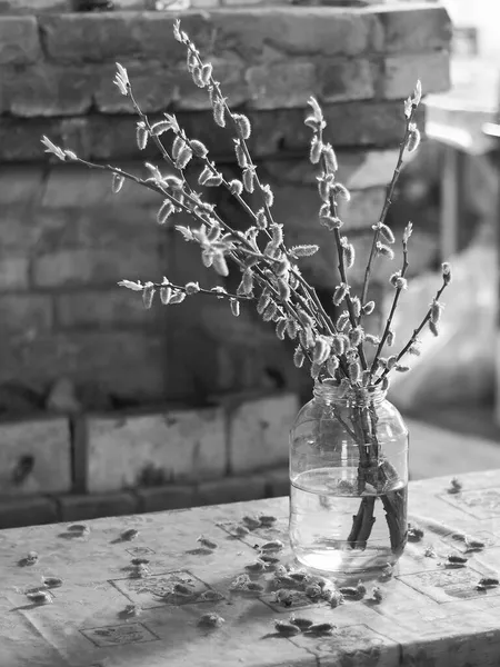 Masanın üzerinde cam bir kavanozda söğüt dalları buketi, siyah beyaz, doğal ışık altında, tuğladan bir şöminenin bulanık arka planında tasvir edilmiş.