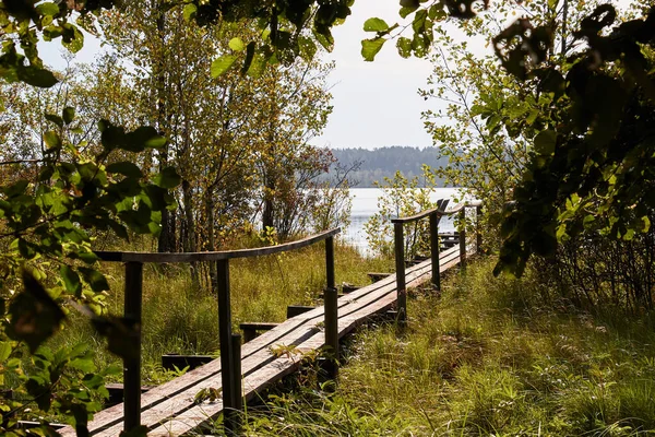 Eski ahşap bir köprü, sonbahar öğle güneşiyle aydınlanmış, yemyeşil bitki örtüsüyle çevrili, harika bir orman gölünün kıyısına bakan.
