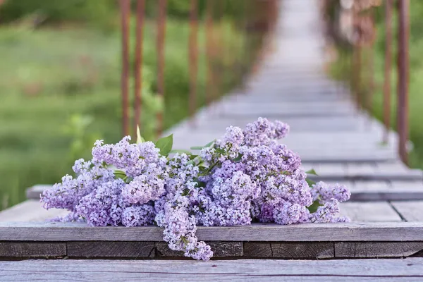 Eski asma köprünün ahşap zemininde parlak leylak çiçekleri, coşkuyla açan yaz doğasının arka planına karşı