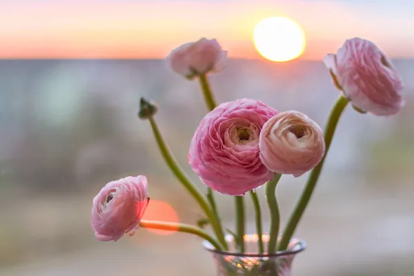 Yaz günbatımının bulanık arka planında cam bir vazoda duran pembe güzel çiçek tomurcukları.