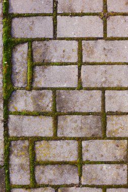 Kaldırımın dokusu yeşil yosunlarla kaplı eski fayanslardan yapılmış.