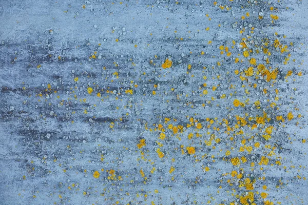 Eski boyalı bir yüzeyin mavi arka planında pek çok küçük sarımsı yosun ve zambak deseni.