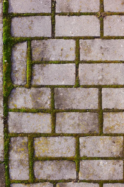 Kaldırımın dokusu yeşil yosunlarla kaplı eski fayanslardan yapılmış.