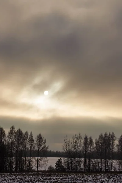 Kış güneşi bulutların arasından doğuyor, ağaçları ve tarlaları aydınlatıyor donuk ışıklarıyla donarak.