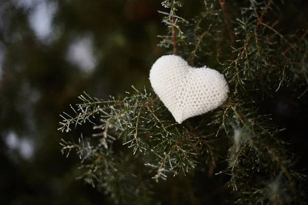 Bir kış gününün sonunda, don kaplı çam dallarıyla sarmalanmış, beyaz iplikten yapılmış bir kalp.