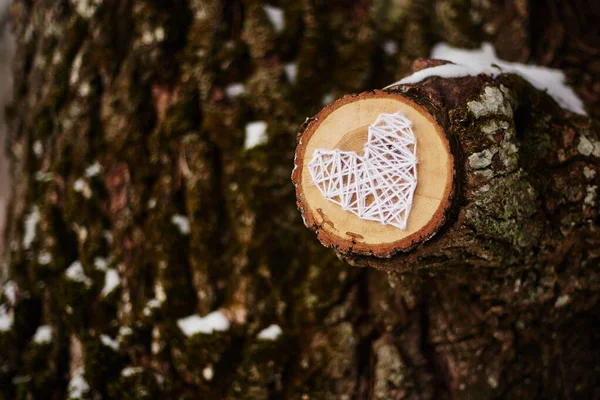 Beyaz ipliklerle işlenmiş bir kalp, yakın plan, bir ağaç dalına, bir kış ormanında